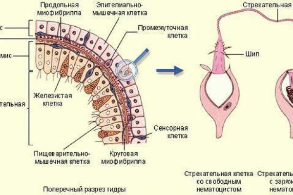 Логин и пароль от кракен