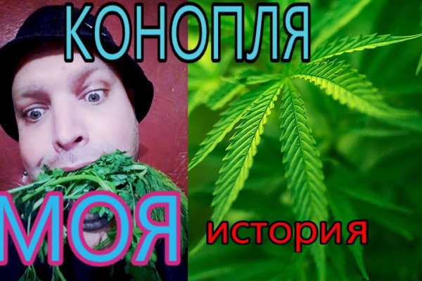 Адрес сайта кракен