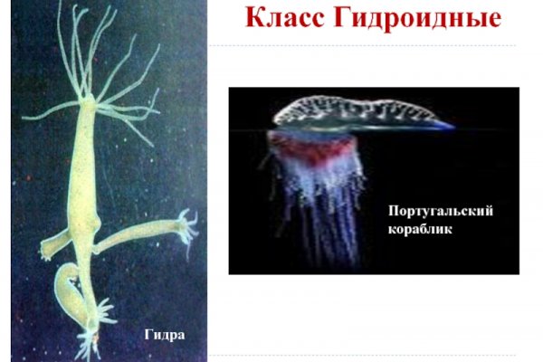 Кракен переход