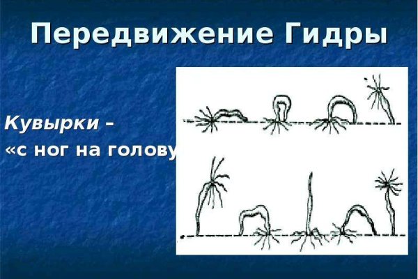 Войти в кракен